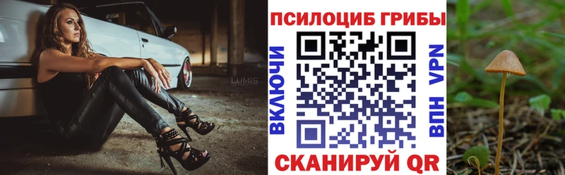 купить закладку  Мыски  гидра сайт  Галлюциногенные грибы Magic Shrooms 